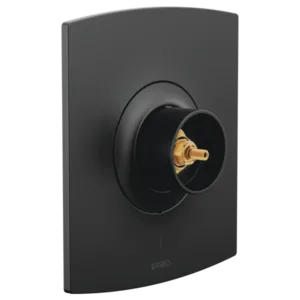 Brizo Matte Black Kintsu® Valve Trim