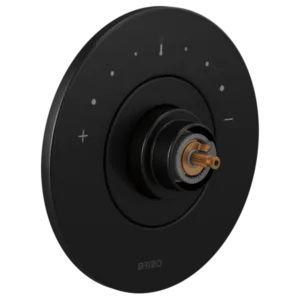 Brizo Matte Black Litze® Valve Trim