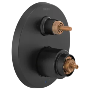 Brizo Matte Black Jason Wu for Brizo™ Shower Trim with Diverter