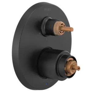 Brizo Matte Black Jason Wu for Brizo™ Shower Trim with Diverter